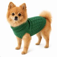 Honden Trui Gebreid &ndash; Warme Puppy &amp; Kleine Hond Trui &ndash; Zachte Kabel Knit Sweater voor Herfst &amp; Winter &ndash; Groen