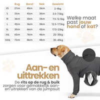 Dogs&amp;Co&reg; Medisch Bodysuit - Operatie jumpsuit Grijs - Operatiepak voor de hond grijs
