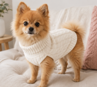 Hondentrui Ecru Voor kleine honden 