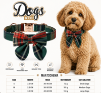 Dogs&amp;Co Luxe Hondenhalsband met Strik &ndash; Groen/Rood Geruit Design &amp; Ros&eacute;gouden Gesp