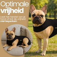 Dogs&amp;Co&reg; Herstelpak - Achterpoot beschermer
