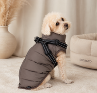 Dogs&amp;Co Gewatteerde Hondenjas met Ge&iuml;ntegreerd Harnas CHOCO