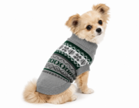 Hondentrui Gebreid Grijs &amp; Groen &ndash; Warme Honden Trui
