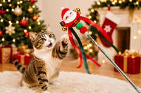 Christmas Cat Teaser Toy &ndash; Kerstspeeltje voor katten