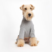 Dogs&amp;Co&reg; Comfort Jumpsuit voor Honden Grijs