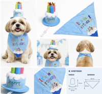 Honden Verjaardag Set &ndash; Verjaardagshoedje &amp; Bandana &ndash; It&rsquo;s My Birthday &ndash; Blauw