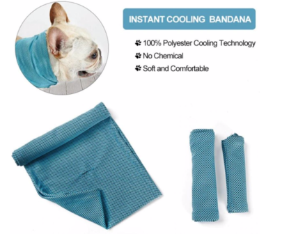 Koel bandana Dogs&Co