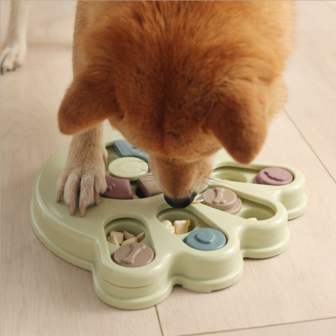 Dogs&Co Denkspel