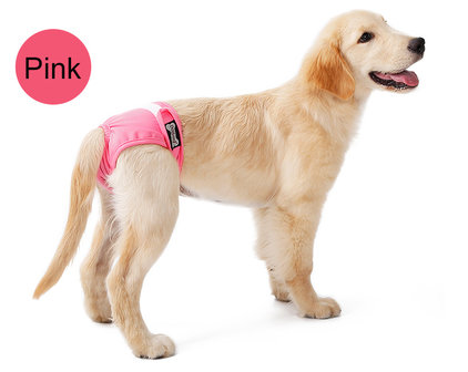 Loopsheidbroekje Roze Dogs&Co