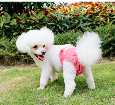 Loopsheidbroekje Roze Dogs&Co