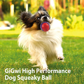 Gigwi squeaky  Ball  maat L
