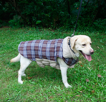 Hondenjas "Burberry design"  english style Bruin