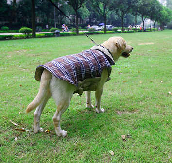 Hondenjas "Burberry design"  english style Bruin