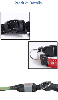 Led Hondenhalsband USB oplaadbaar GROEN met design 