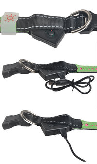 Led Hondenhalsband USB oplaadbaar GROEN met design 