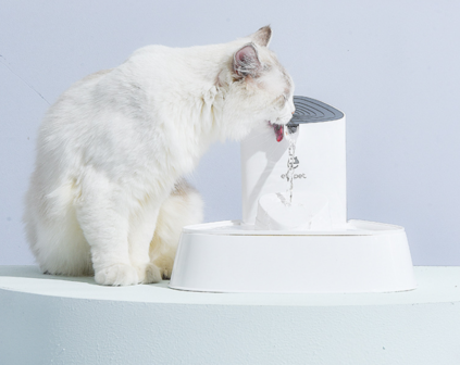 Els Pet Drinkfontein met filter - Katten/Honden - 3Liter - Wit/Grijs