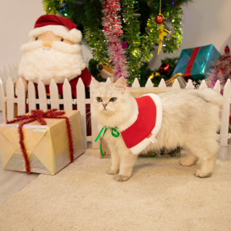 Kerst cadeaubox voor Katten