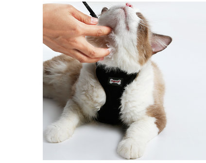 Kattenharnas - Harnas voor katten - Kattentuigje met looplijn - Zwart