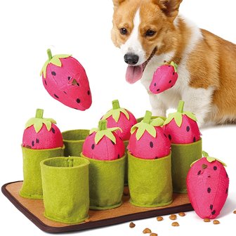  Snuffelmat Aarbei- Anti schrok - Speelmat  - Trainingsmat - Snuffelmat  - Denkspel hond