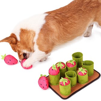  Snuffelmat Aarbei- Anti schrok - Speelmat  - Trainingsmat - Snuffelmat  - Denkspel hond