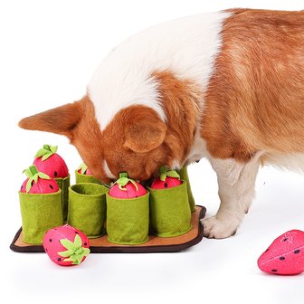  Snuffelmat Aarbei- Anti schrok - Speelmat  - Trainingsmat - Snuffelmat  - Denkspel hond