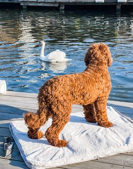 Draagbaar-Hondenmatras-Grijs-120x85cm-Reisdeken-opvouwbaarhondenkussen-Draagbare-Honden-Reismat-Opvouwbaar-matras-voor-de-hond-