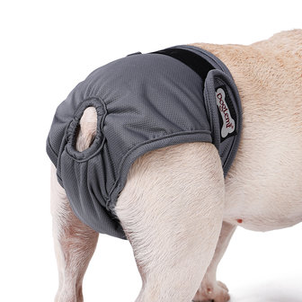 Loopsheidbroekje Grijs Dogs&Co