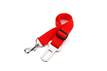 Honden Autogordel Rood