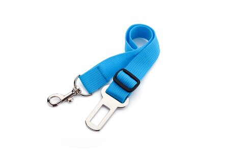 Honden Autogordel Blauw