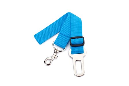 Honden Autogordel Blauw