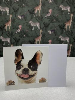 DogsCo-Cadeaubon-€25,-