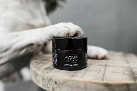 Alway your Friend  Paws &amp; Nose Balm 