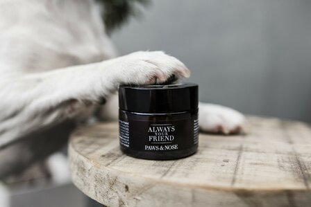 Alway your Friend  Paws & Nose Balm 