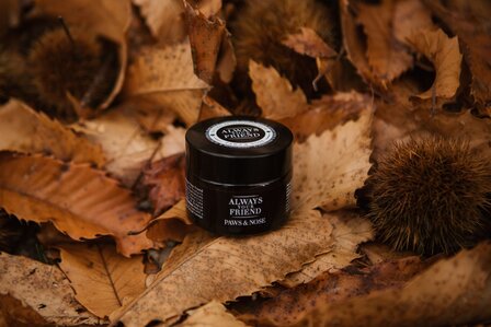 Alway your Friend  Paws & Nose Balm 