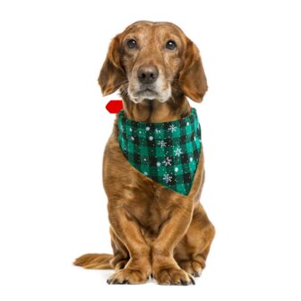 Kerst Halsband met Bandana Maat M Ruit Groen Snowflake