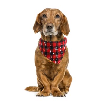Kerst Halsband met Bandana Maat M Rood Kerstman