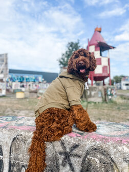 Dogs&amp;Co Honden Sweater -  Hoodie voor honden Army Green