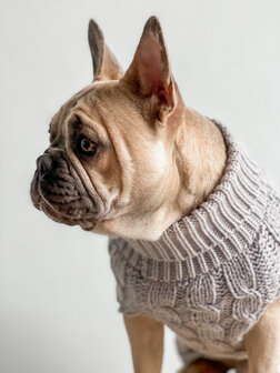 Dogs&Co Hand gebreide Hondentrui Grijs