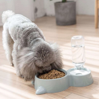 Voerbak En Automatische Waterbak Voor Kat Of Kleine Hond –Grijs