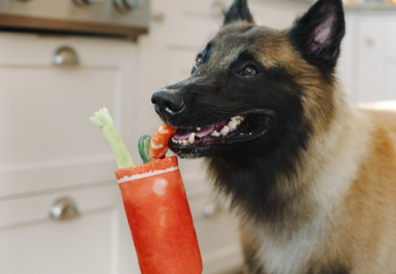 PLAY Barking Brunch - Buddy Mary  - Hondenspeelgoed