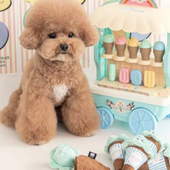 Honden Speelgoed Icecream Blauw - Snuffel speelgoed