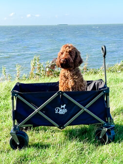 Dogs&Co Bolderkar zwart