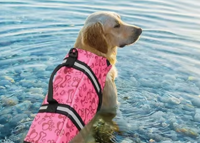 Zwemvest voor honden  Roze POOTJE 