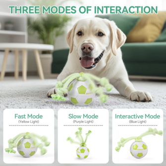 Dogs&amp;Co&reg; Interactieve speelbal 