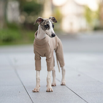 Dogs&amp;Co&reg; Comfort Jumpsuit voor Honden Khaki