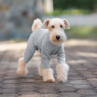 Dogs&amp;Co&reg; Comfort Jumpsuit voor Honden Grijs