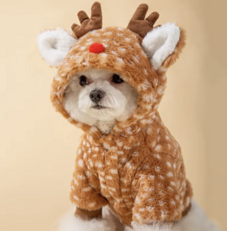 Eland Rendier Kostuum