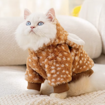 Eland Rendier Kostuum