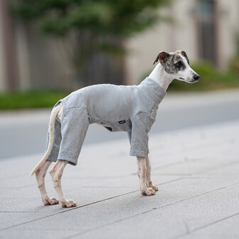Dogs&amp;Co&reg; Comfort Jumpsuit voor Honden Grijs