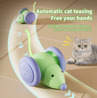  Interactief Kattenspeelgoed met Lichtgevende Staartmuis 